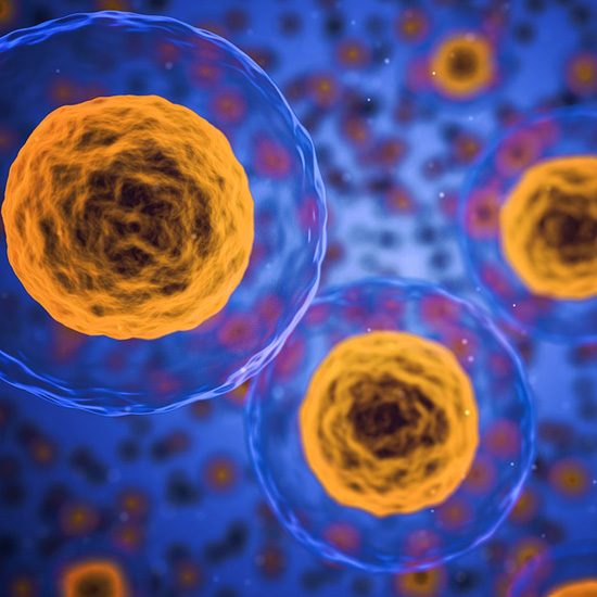 Pharmacogenetics